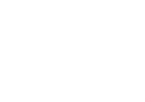 Pacha